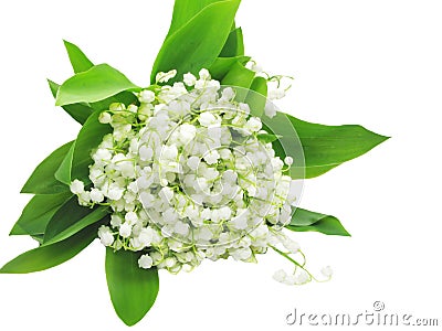 Royalty Free Stock Photo: Bouquet of lily of the valley flowers. Image: 14555635