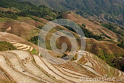 Rice Paddy Fields In Southern China High-Res Stock Photography