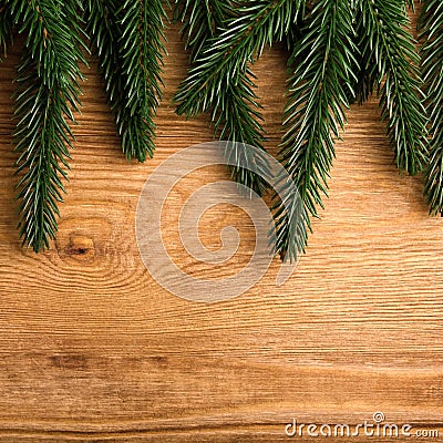 A Pine Tree for Christmas | MARTHAANDTOM